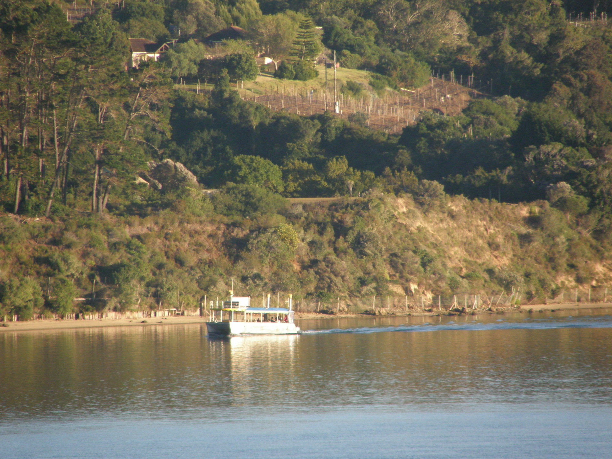 Augusta Bay Guest House Knysna Esterno foto
